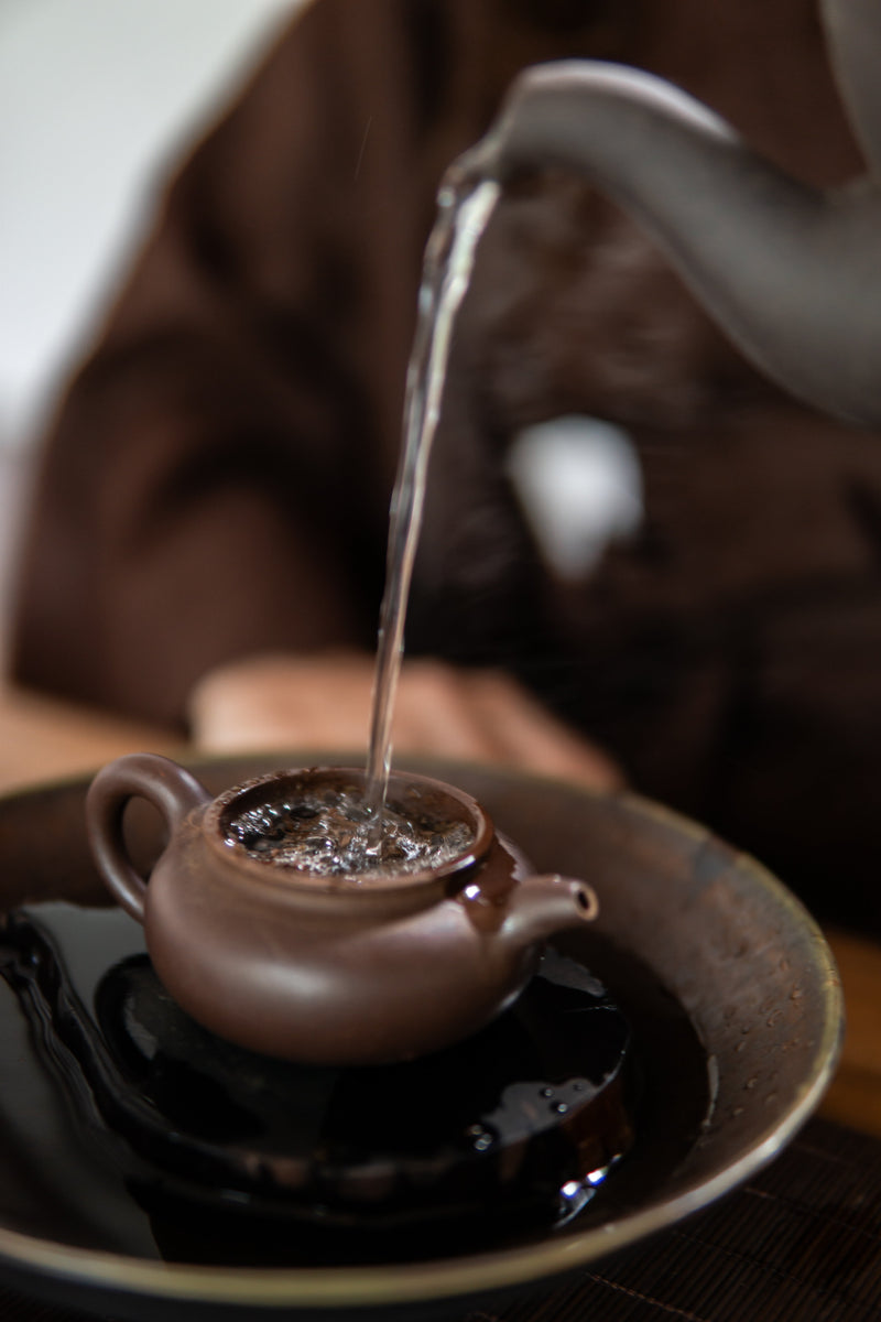 Raw and Ripe Puer: Processing, Fermentation and Ageing