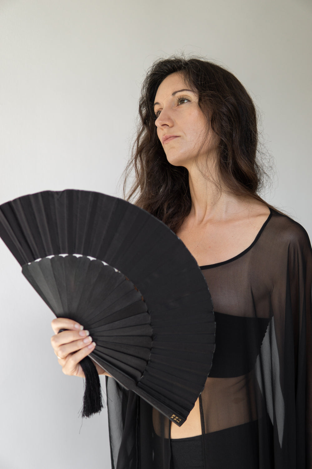 Temple Fan, Silk, Black Jade, view 5
